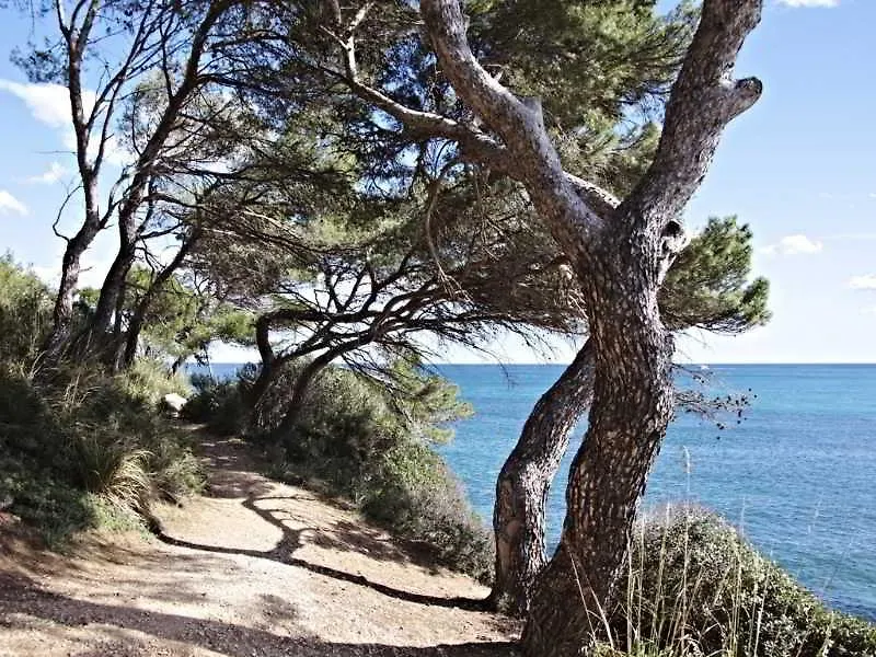 Cap Vermell Beach Hotel Canyamel